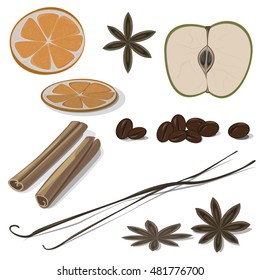 Spices set isolated on white background , vector