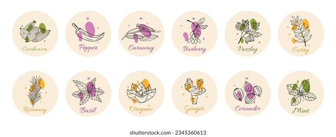 Spices set. Labels for jars with spices. Vector stock illustration. isolated. Food. Spices. Paprika, mint, basil, oregano, cardomom, cumin, ginger, coriander, parsley