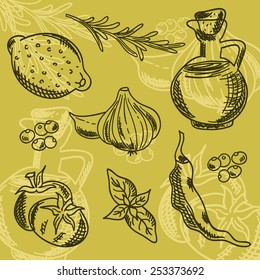 Spices set on white background. Hand drawn spices and herbs made in vector. Cinnamon, pepper, olive oil, cardamon, ginger, basil leafs and other spices and herbs.