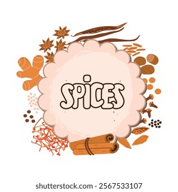 Spices set with space for text. Cinnamon sticks, vanilla pods, nutmeg, ginger, cardamom, anise, cloves, saffron.  Vector designs  isolated on white background. Flat color food illustration.