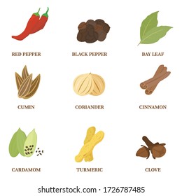 Spices and spices set : vector illustration