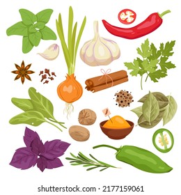 Spices set vector illustration. Cartoon isolated Asian spicy dry hot and sweet pepper powder, seeds and fresh bunch of herbs and plants, organic vegetables for cooking, seasoning food in kitchen