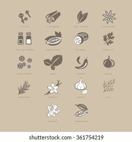 Spices Set, Vector Illustration Collection pastel shades of beige