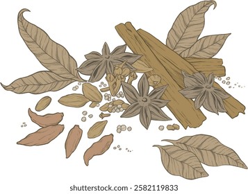 spices sketch. chili, cardamom, pepper, cinnamon, lime leaves star anise