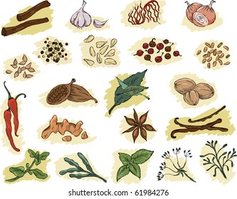 Spices, sketch drawing