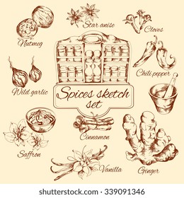 Spices sketch set with nutmeg vanilla cinnamon ginger isolated vector illustration