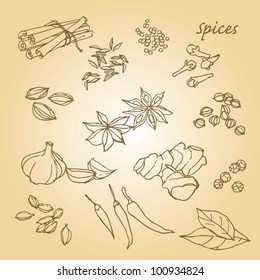 Spices sketchy doodles vector set