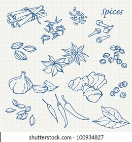 Spices sketchy doodles vector set