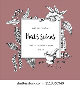 spices square frame design. hand painted illustration. Vintage sketchy style plants. Vector illustration of black pepper; allspice; ginger