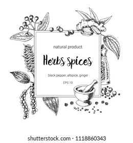 spices square frame design. hand painted illustration. Vintage sketchy style plants. Vector illustration of black pepper; allspice; ginger