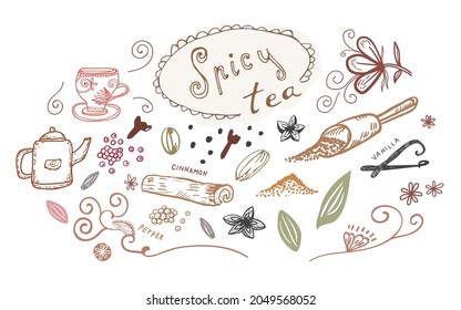 Spices and tea doodle vector illustration with handwriting, decorative elements and warm colors. Vintage style, line drawing. 