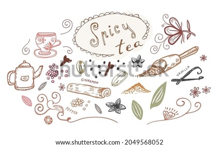 Spices and tea doodle vector illustration with handwriting, decorative elements and warm colors. Vintage style, line drawing. 