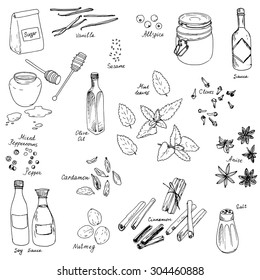 spices, vector food set, ink drawing isolated elements