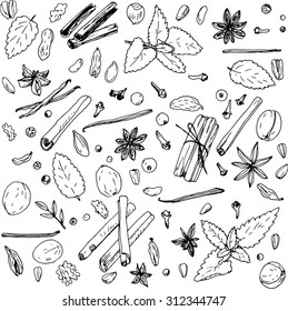 spices, vector food set, ink drawing  elements