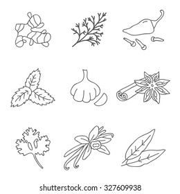 Spices. Vector icons, hand-drawn.