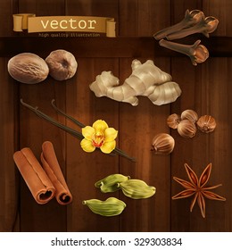 Spices, vector icons set