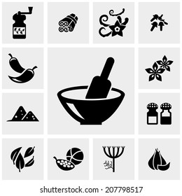 Spices vector icons set on gray. 