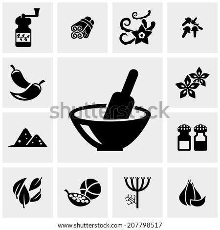 Spices vector icons set on gray. 