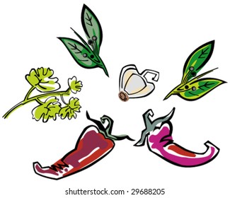 Spices vector illustration