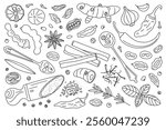 Spices vector illustration. Black and white doodle set of spices, herbs, and seasoning. Cartoon style, flat design, outline pepper, cinnamon, star anise, garlic, saffron, chili, cardamom, cloves