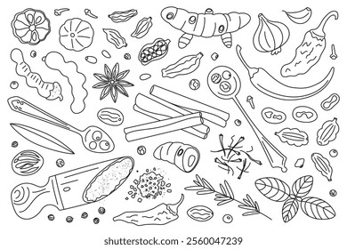 Spices vector illustration. Black and white doodle set of spices, herbs, and seasoning. Cartoon style, flat design, outline pepper, cinnamon, star anise, garlic, saffron, chili, cardamom, cloves