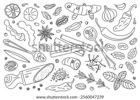 Spices vector illustration. Black and white doodle set of spices, herbs, and seasoning. Cartoon style, flat design, outline pepper, cinnamon, star anise, garlic, saffron, chili, cardamom, cloves