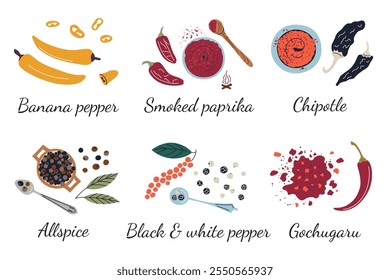 Spices vector illustration collection with banana pepper, smoked paprika, chipotle, allspice, black and white pepper, gochugaru. Flat cartoon doodle style, colorful seasoning set for cooking