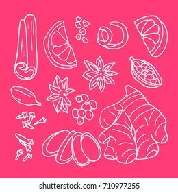 Spices vector illustration. Doodle style. Design icon, print, logo, poster, symbol, decor, textile, paper, card. 