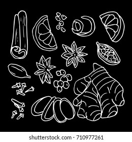 Spices vector illustration. Doodle style. Design icon, print, logo, poster, symbol, decor, textile, paper, card. 