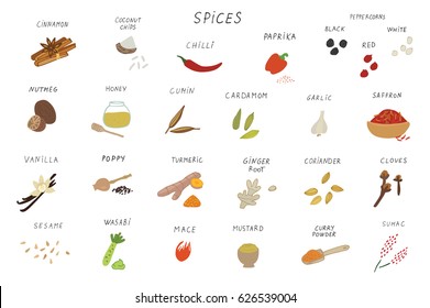 spices vector set