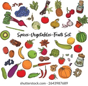 Conjunto de especias, verduras y frutas – Ilustración vectorial