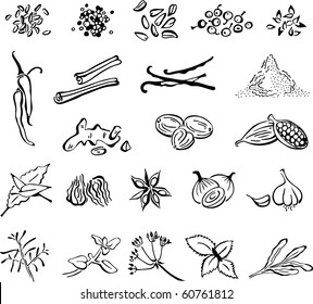 Spices.hand-drawn icons