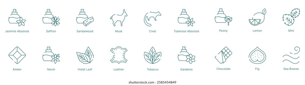 Spicy and Aromatic Fragrance Notes Vector Icon Set