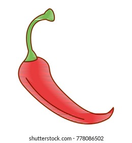 spicy chile vegetable icon