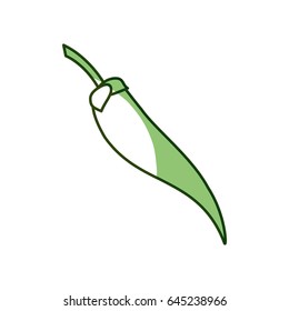 Spicy chili pepper