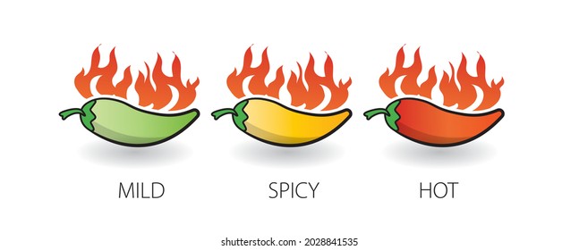 Spicy chili pepper level labels concept. Vector spicy food mild and extra hot sauce, chili pepper red. Chili icon.