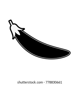 Spicy chilli isolated