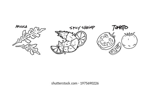 Spicy and delicious food set hand drawn and original outline illustration image. Arugula, spicy shrimp and tomato arranged in one line as a natural and healthy ingredients, contour decoration.