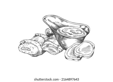 Spicy ginger sauce or dip, sketch vector illustration isolated on white background. Hand drawn fresh ginger and dip with engraving texture. Monochrome food element for menu design.