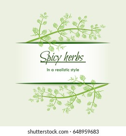 Spicy herbs in a realistic style, frame on background