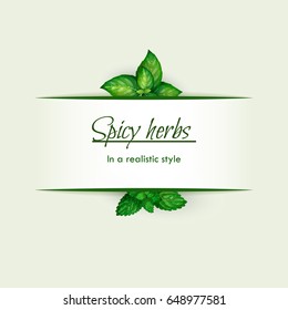 Spicy herbs in a realistic style, frame on background