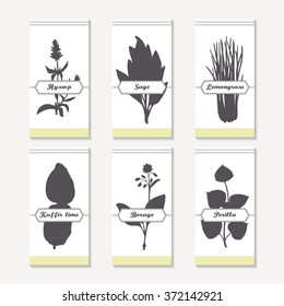 Spicy herbs silhouettes collection. Hand drawn hyssop, sage, lemongrass, kaffir lime, borage, perilla. Retro labels set for food packaging or kitchen design. Vector illustration