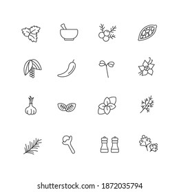 Spicy and herbs simple thin line icon set vector illustration. Cloves, parsley, rosemary, mint, black pepper, garlic, basil, chili pepper, cardamon , juniper, dill, vanilla, cress, oregano.