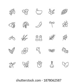 Spicy and herbs simple thin line icon vector illustration. Tarragon, oregano, basil, nutmeg, barberry, cardamon, seed, vanilla , cumin, mint, rosemary, parsley and more.