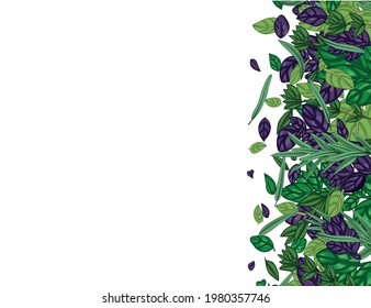 Spicy herbs and spices. Spicy herbs background. There is free space for text. Design element. Vector illustration.