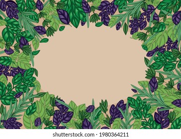 Spicy herbs and spices. Multi-colored frame made of spicy herbs. There is free space for text. Design element. Vector illustration.