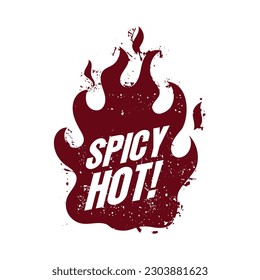 Spicy hot grunge flames vector