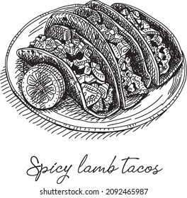 Spicy lamb Tacos. Sketchy hand-drawn vector illustration.