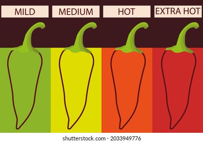 Spicy level. Hotness rating indicator. A scale for the saturation level of paprika, chili pepper from mild to extra hot. Asian and mexican spicy  with red sauce. Extra, mild, hot, medium. Vector 