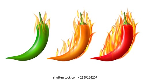 Spicy level. Set of hot flaming chili pepper pods. Design for culinary products, spice package, recipe or cooking book. Realistic vector illustration isolated on white background.